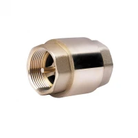 Зворотній клапан 1 1/4" SD Forte