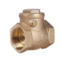 Зворотний клапан Thermo Alliance Standart 1 1/4" SD242W32