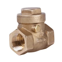 Обратный клапан SD Plus 1/2" SD242W15