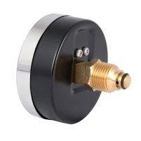 Термоманометр Thermo Alliance Standart 80 мм 1/2", заднє підмикання SD1736B - 3 фото