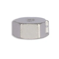 Заглушка Thermo Alliance Forte 1/2" ВР SF35215 - 4 фото