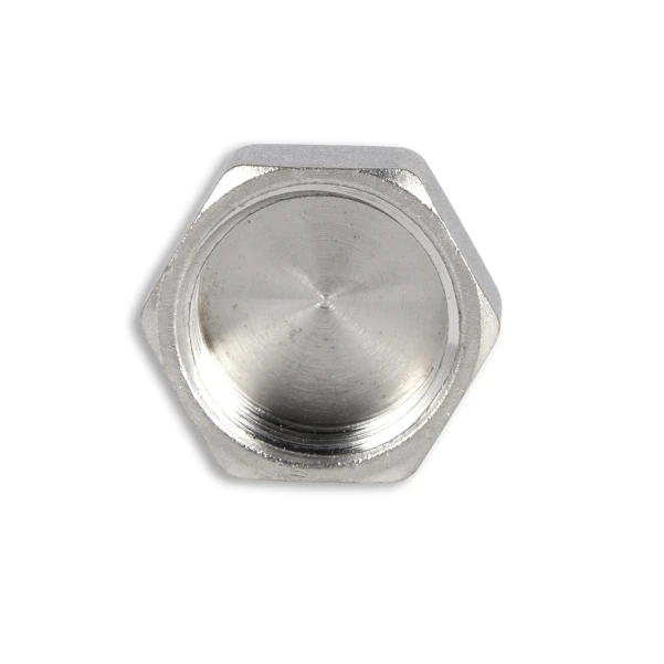 Заглушка Thermo Alliance Forte 1/2" ВР SF35215 - 5 фото
