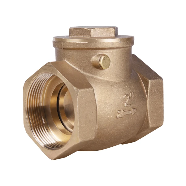 Зворотний клапан Thermo Alliance Standart 2" SD242W50