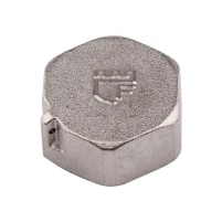 Заглушка Thermo Alliance Forte 1" ВР SF35225