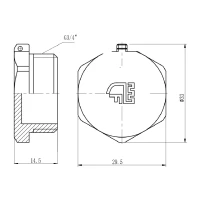 Заглушка латунна 3/4"з SD FORTE - 1 фото