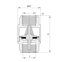 Зворотний клапан Thermo Alliance Forte 1"ВВ нікель із латунним штоком TAF240W25 - 1 фото