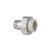 Американка PPR Blue Ocean 25х3/4" ЗР - 2 фото