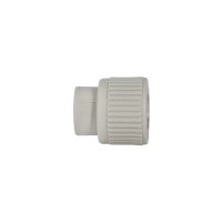 Муфта 20 х 1/2"в PPR Blue Ocean - 5 фото