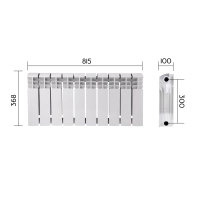 Радіатор біметалічний Bi-Ferrum 300х100 мм (1,15 кг секція) F300100B Thermo Alliance - 1 фото