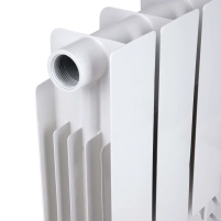 Радіатор біметалічний Bi-Ferrum 300х100 мм (1,15 кг секція) F300100B Thermo Alliance - 6 фото
