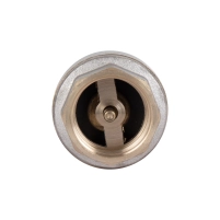 Зворотний клапан Thermo Alliance Standart 3/4"ВВ із латунним штоком TAS240W20 - 4 фото