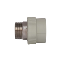Муфта PPR Blue Ocean 63х2" НР - 3 фото