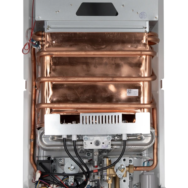 Колонка газова димохідна Thermo Alliance JSD20-10QB 10 л EURO - 9 фото
