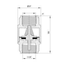Зворотний клапан Thermo Alliance Forte 1 1/4"ВВ нікель із латунним штоком TAF240W32 - 1 фото