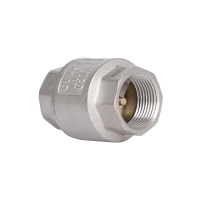 Обратный клапан Thermo Alliance Standart с латунным штоком 3/4"ВВ усиленный TAS246W20 - 3 фото