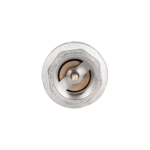 Обратный клапан Thermo Alliance Standart с латунным штоком 3/4"ВВ усиленный TAS246W20 - 4 фото