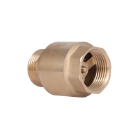 Клапан зворотний Thermo Alliance Standart 1"ВЗ із латунним штоком TAS248W25 - 3 фото