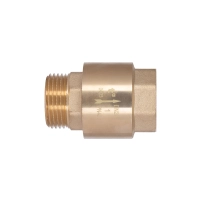 Клапан зворотний Thermo Alliance Standart 1"ВЗ із латунним штоком TAS248W25 - 4 фото