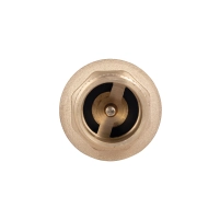 Клапан зворотний Thermo Alliance Standart 1"ВЗ із латунним штоком TAS248W25 - 5 фото