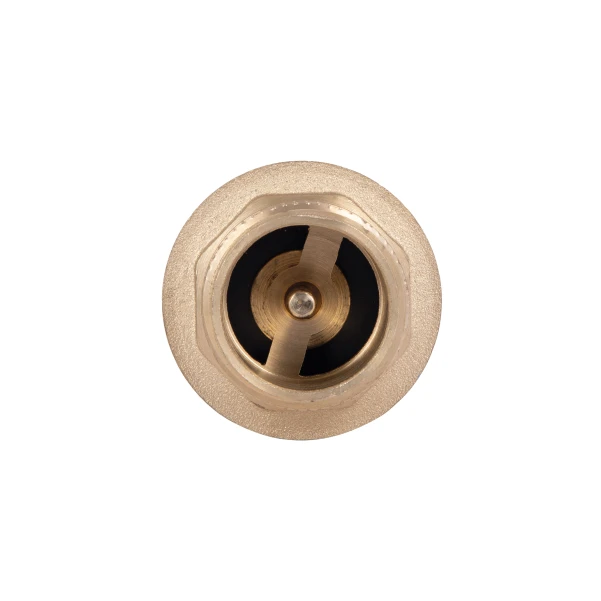 Клапан зворотний Thermo Alliance Standart 1"ВЗ із латунним штоком TAS248W25 - 5 фото