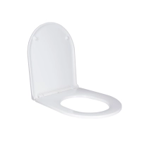 Сиденье для унитаза Qtap (Robin, Aries) с микролифтом Slim QT99HY2411W - 2 фото