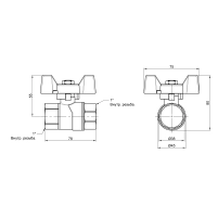 Кран кульовий Thermo Alliance Forte 1" ВР для води (метелик) SF602W25 - 1 фото