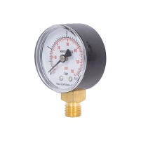Манометр Thermo Alliance Standart 50 мм 1/4", нижнее подключение SD1704B - 2 фото