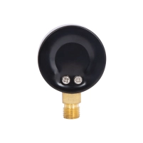 Манометр Thermo Alliance Standart 50 мм 1/4", нижнее подключение SD1704B - 5 фото