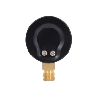 Манометр Thermo Alliance Standart 50 мм 1/4", нижнє підмикання SD1706B - 5 фото