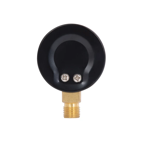 Манометр Thermo Alliance Standart 50 мм 1/4", нижнє підмикання SD1706B - 5 фото
