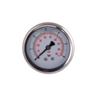 Манометр с глицерином Thermo Alliance Forte 6 бар, 1/4"Н, заднее подключение TAF171G6B