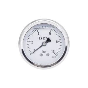 Манометр глицериновый Thermo Alliance Forte d63 мм, 1/4"Н с задним подключением (латунь) 0–10 бар TAF171G10B