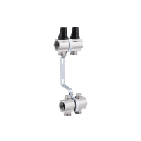 Колектор Thermo Alliance Forte 1" 2 виходи SF002W2