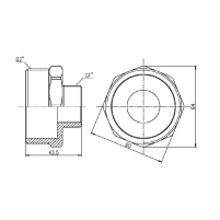 Ниппель редукционный Thermo Alliance Forte 2"х1" SF3595025 - 1 фото