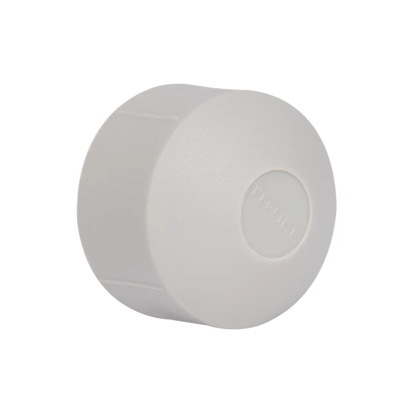 Заглушка PPR Thermo Alliance 32