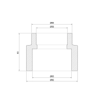 Муфта PPR Thermo Alliance 63х50 - 1 фото