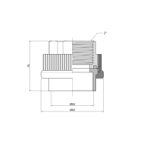 Муфта PPR Thermo Alliance 63х2" ВР - 1 фото