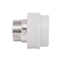 Муфта PPR Thermo Alliance 63х2" НР - 3 фото