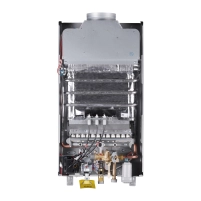 Колонка газова димохідна Thermo AllianceJSD20-10CR SILVER  10 л - 7 фото