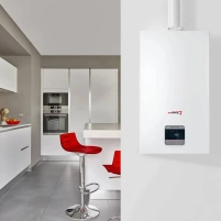 Двоконтурний конденсаційний котел Protherm Panther Condens 20/26 KKV-CS/1 - 3 фото